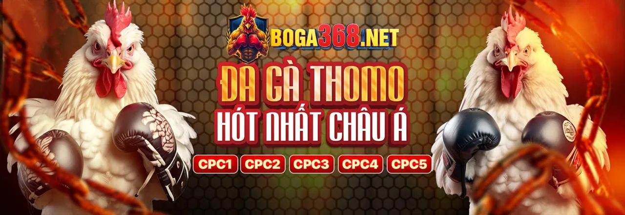 Sân vận động bóng đá với cầu thủ đang thi đấu, ánh đèn rực rỡ tượng trưng cho cá cược bóng đá tại abc888